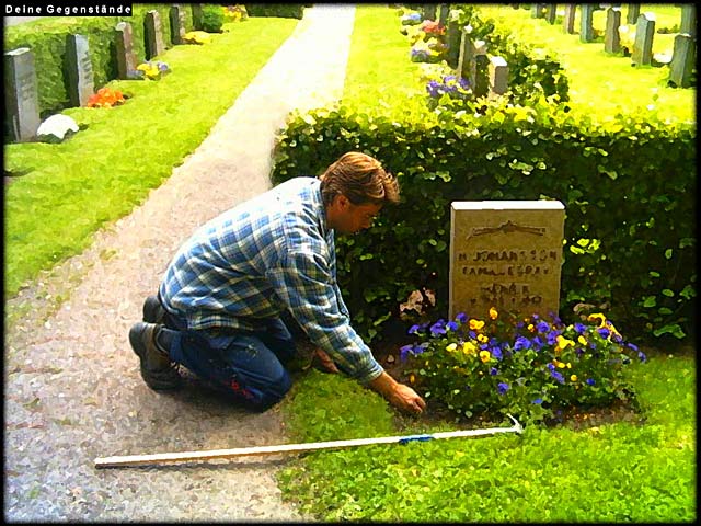 Carol Reed: Mord in Schweden Runterladen