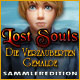 Lost Souls: Die verzauberten Gemälde Sammleredition