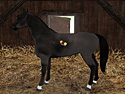 Planet Horse