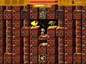 Rabbit's Magic Adventures
