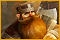 PC-Spiele Royal Roads