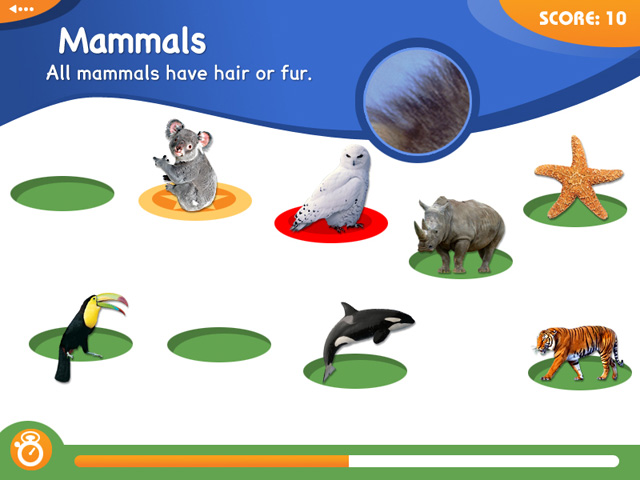 Animal Genius Screenshot http://games.bigfishgames.com/en_animal-genius/screen1.jpg