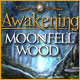 Awakening: Moonfell Wood