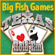 Big Fish Games Texas HoldEm