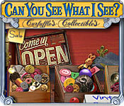 Can You See What I See? Feature Game