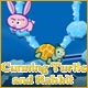 Cunning Turtle and Rabbit