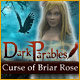 Dark Parables: Curse of the Briar Rose