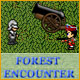 Experience a Forest Encounter!