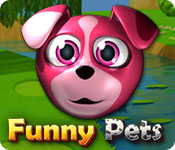  Funny Pets