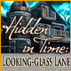 Hidden in Time: Looking-glass Lane