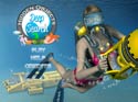 Hidden Objects - Deep Search - Online Screenshot-1
