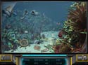 Hidden Objects - Deep Search - Online Screenshot-3