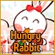 Hungry Rabbit