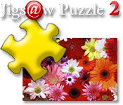 Jigs@w Puzzle 2 Feature Game