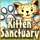 Kitten Sanctuary