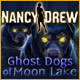 Nancy Drew: Ghost Dogs of Moon Lake