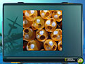 Nat Geo Adventure: Ghost Fleet