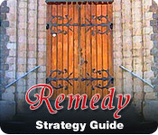Remedy Strategy Guide Feature Game