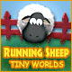 Running Sheep: Tiny Worlds