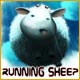 Running Sheep