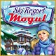 Ski Resort Mogul