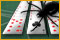 SpiderMania Solitaire