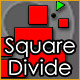 Square Divide