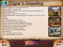 The Fool Strategy Guide game screenshot