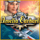 The Search for Amelia Earhart