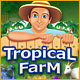 Tropical Farm