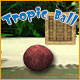 Tropic Ball free game download Tropic Ball top games free download