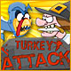 Turkey Attack