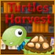  Free online games - game: Turtles Harvest