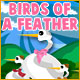 Birds of a Feather