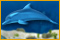 Imagen de Dolphin Dice Slots