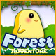 Forest Adventure
