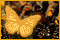 Imagen de Great Migrations