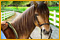 Imagen de Planet Horse