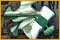 Imagen de Ravensburger Puzzle Selection