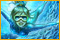 Imagen de Tropical Fish Shop 2