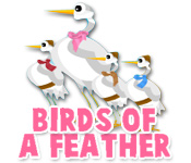 Birds of a Feather