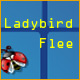 Acheter Ladybird Flee