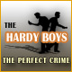 The Hardy Boys: The Perfect Crime