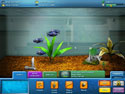 FishCo