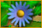 Spelletjes downloaden, Bliss Island