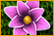 Spelletjes downloaden, Flower Paradise