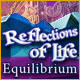 Reflections of Life: Equilibrium