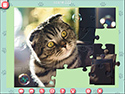 1001 Jigsaw Cute Cats