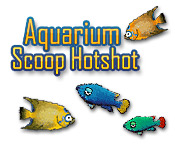 Aquarium Scoop Hotshot