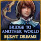 Bridge to Another World: Burnt Dreams